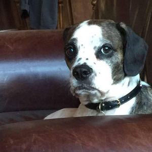 Meet your Posher, Tisha